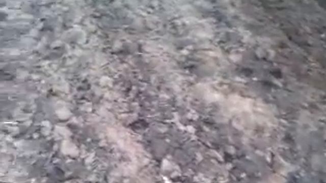 АР прикрытие влаги.3gp смотреть онлайн