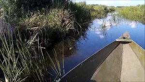 Охотничья складная лодка Чкаловка - восьмиклинка. По заросшей реке