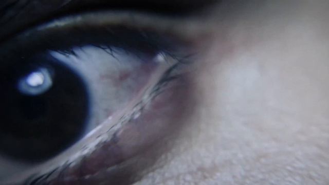 Ink Asylum - File 1 смотреть онлайн