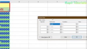 How to Use Filter In Open Office Calc (I.T Skill Course 402)