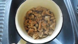 Суп из рыжиков