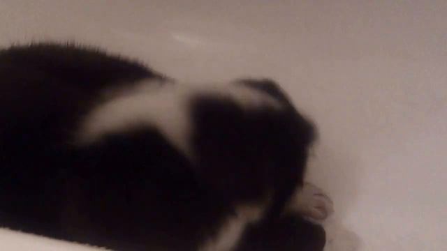 Алабайчик  Аджара и вредная водичка смотреть онлайн