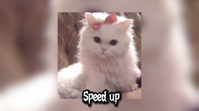 Артём Кей-Кискисмяумяу (speed up) смотреть онлайн