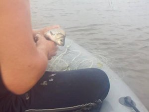 Рыбалка сетями. Ловля карасей на сети