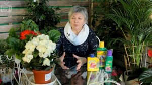 Цветущие растения ? Какие удобрения для цветов использовать? Советы от эксперта❗