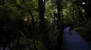 Горы Сочи 2018. Красная поляна, Псахо, Чугуш, Ачишхо.