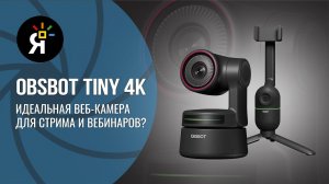 OBSBOT TINY 4k | OBSBOT ME | Светлое PVZ будущее