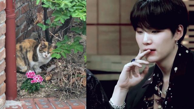 [BTS/EngSub] 최근 울 방탄소년단 이렇게 지내고 있다!! (다들 모해?? 보고싶어~~) 최근 근황과 다양한 핫한 소식들!! смотреть онлайн