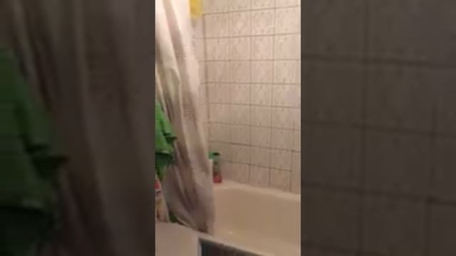 Видео показ 2 комнатной квартиры на 3 Дачной смотреть онлайн