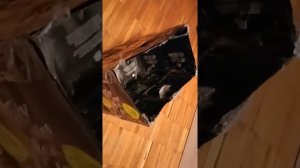 что можно сделать из использованных пакетов от кофе. итак