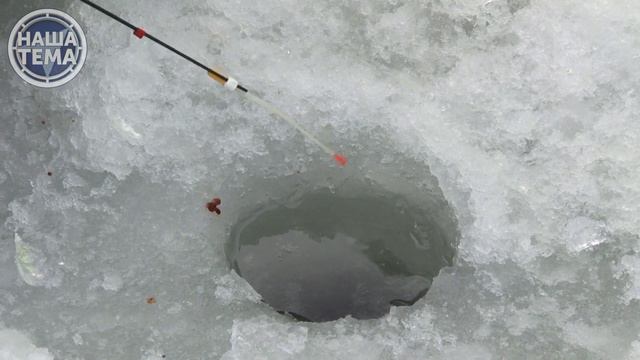 Новогодний ельчик. Альтепнатива застолью. смотреть онлайн