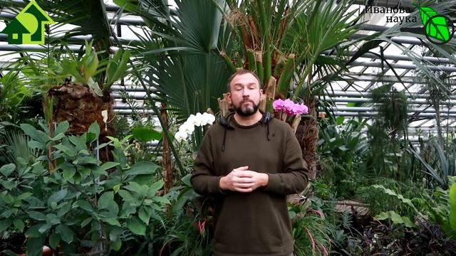 ОЧЕНЬ ВАЖНОЕ СООБЩЕНИЕ ДЛЯ ЗРИТЕЛЕЙ КАНАЛА ИВАНОВА НАУКА! Не пропустите!