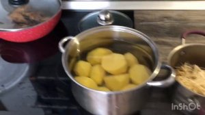 шпиц Тоша и вкусная курица