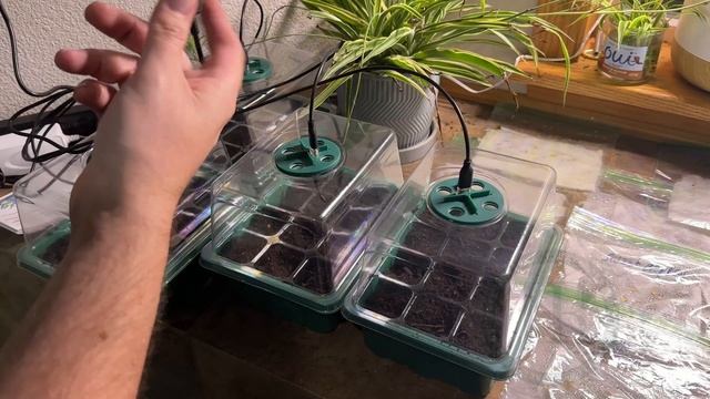 Seed Starter Tray with Grow Light