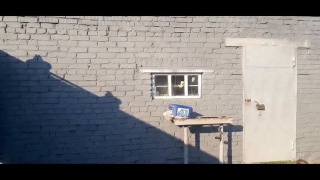 Покрасили гараж самодельным краскопультом. Как сделать краскопульт своими руками. Ильгиз Шамратов. смотреть онлайн