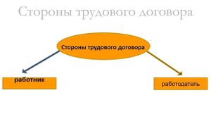 Трудовой договор Лекция 1.mp4