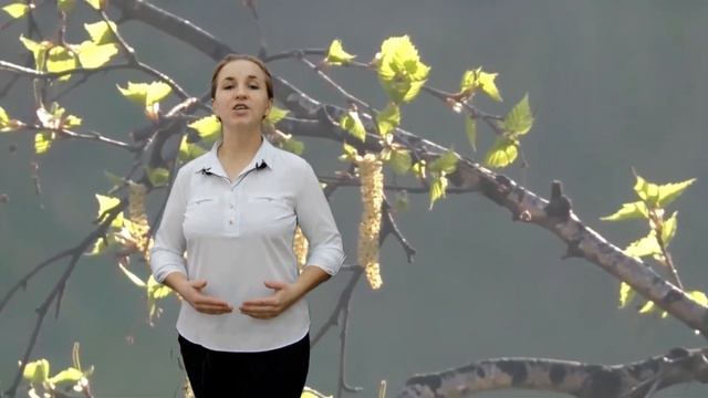 Всемирный день поэзии