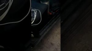 Как прогнать мышь из вашего авто )))