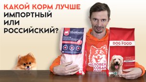 Какой корм для своего питомца лучше выбрать сейчас, Российский или импортный.
