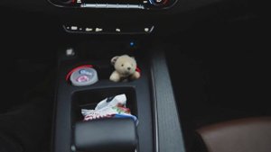 AUDI A5 (F5) Рестайлинг - отзыв и комментарии владельца после года эксплуатации