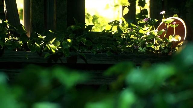 Пара решила оставить свою надпись на коре дерева, никто даже не мог подумать, что случится дальше смотреть онлайн