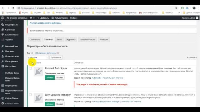 Как отключить обновления Wordpress Настройка плагина Easy Updates Manager смотреть онлайн