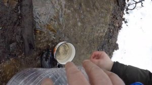 КАК ИСКАТЬ ОКАМЕНЕЛОСТИ ПОИСК ОКАМЕНЕЛОСТЕЙ БЕЛЕМНИТОВ SEARCH OF FOSSILS OF BELEMNITES