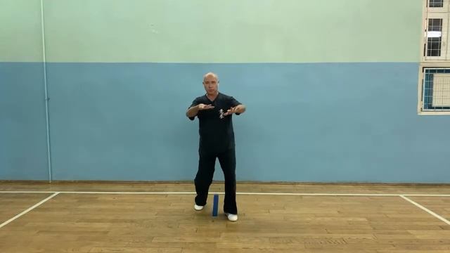 Ицюань Туйшоу-2020 (14).Yiquan Workout. Удары в Туйшоу. Обучение Туйшоу начинающих. (11.11.20)
