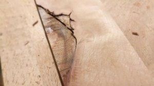 Строгание ручными рубанками - оборотники и с двойным ножом, примеры с елью, лиственницей и буком.