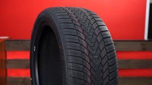 Зимняя фрикционная шина Zmax Winterhawke 1. Обзор модели