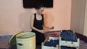 Изготовление вина, часть 1