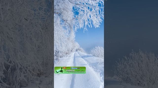 Разоблачение чудо чая в роблокс #роблокс #roblox #квин #роблоксквин #чудочай