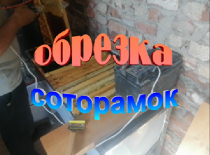 Какие рамки брать для откачки.мёда. Обрезка рамок.