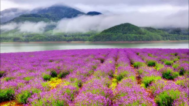 Красивая немецкая мелодия смотреть онлайн