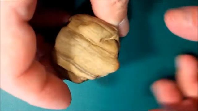 Окаменевшее дерево тигрового или зебрового цвета Tiger-colored or zebra-colored petrified tree 虎色或斑 смотреть онлайн