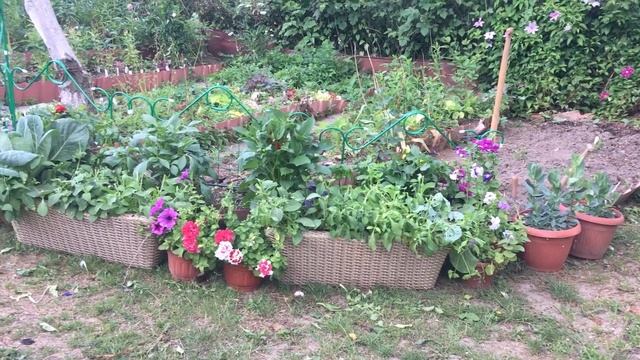 Сад трансформер смотреть онлайн