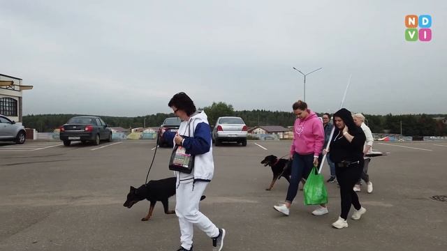 БОСЕРОН. ДЕРЕВЕНСКИЙ ДВОРЯНИН