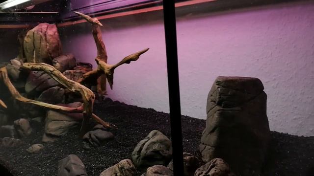 Видео 21: Акваскейп- из 50 Л. в аквариум 160 литров. Коряги, камни. Рыбки. Природный.Тумба. Фон. смотреть онлайн