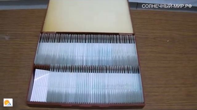 Видео обзор - комплект микропрепаратов ботаника смотреть онлайн