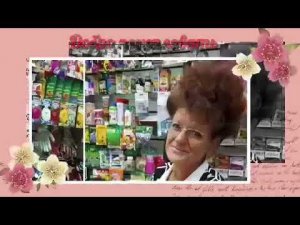 Гортензия, пересадим отводки.