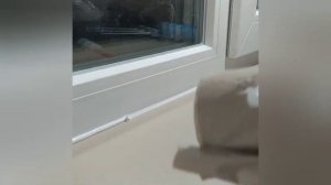 Как правильно работать с силиконом. Делаем красивый шов