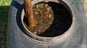 Зеленая бродилка – готовим суперудобрение за 10 дней!