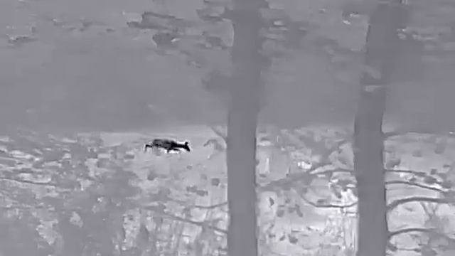 Termowizor INFIRAY AFFO AL19 ircsklep pl смотреть онлайн