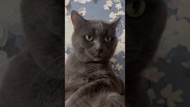 Релакс смотреть онлайн