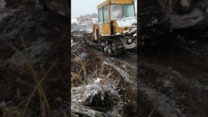Планировка участка дт 75