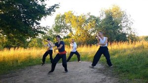 Тренировка Ланьшань цюань (Тхеулам Ламсон куэн)