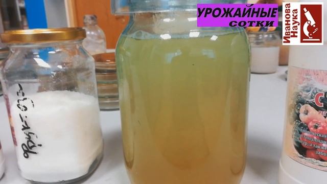 Стимулируем созревание томатов натуральными средствами. И боремся с болезнями - все сразу! смотреть онлайн