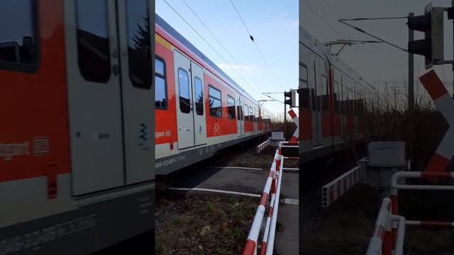 S-Bahn S1 BR 430 Fahrtrichtung Herrenberg, kurz vor dem Bahnhof Wendlingen am Neckar