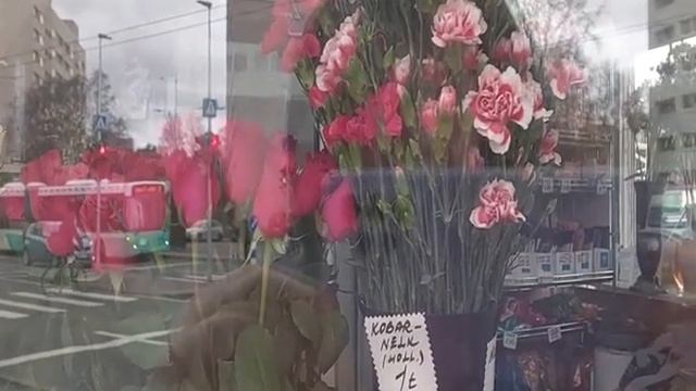 65.Цветы-красота в витрине. смотреть онлайн