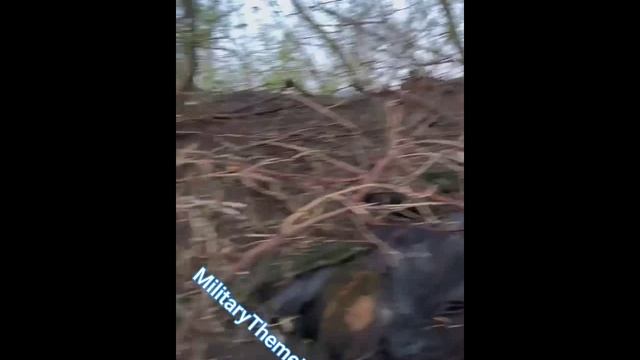 Артёмовское_ С Бодрым утром...